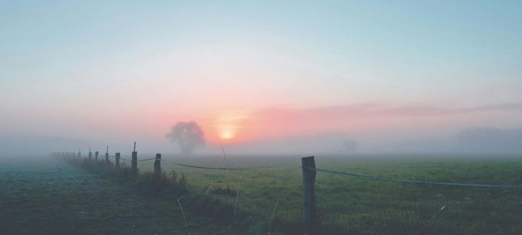 conducir con niebla